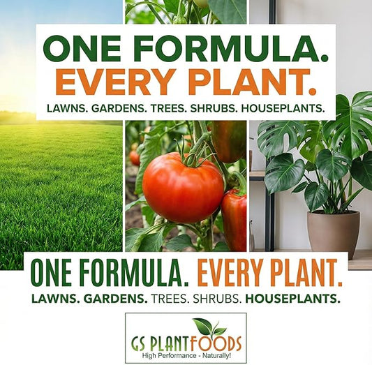 GS Plant Foods Liquid Kelp Fertilizer – Suitable for Organic Growing, OMRI Listed Seaweed Concentrate for Lawns, Gardens & Soil - 275 Gallons
