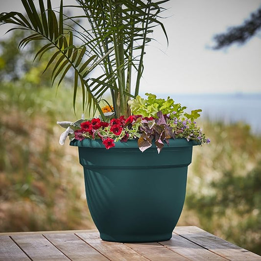 Bloem Ariana 20" Charleston Round Self-Watering Resin Planter Pot - Rolled Rim Indoor and Outdoor Gardening Planter