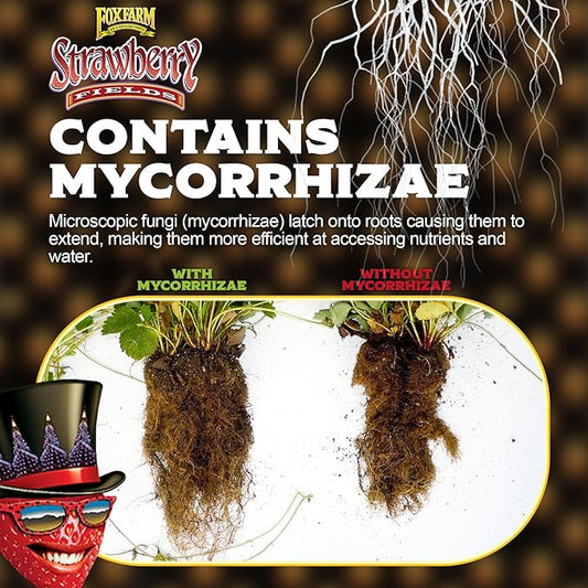 FoxFarm Strawberry Fields Fruiting & Flowering Potting Soil, 1.5cu ft (Pack of 4) - Use to Increase Blooms, Fruits, and Berries - Made for The Fruiting and Flowering Stages of Plants
