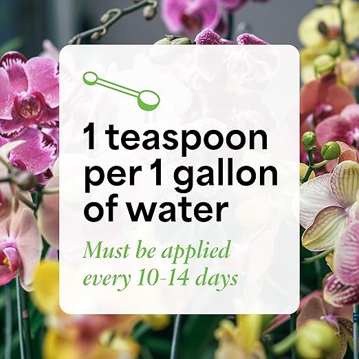 Grow More All Purpose Orchid Fertilizer 20-20-20 for Soil Maintenence Year Round - 20oz of Water Soluble Orchid Food Fertilizer for All Orchids - Plant Food for Healthy Growth & Vibrant Blooms
