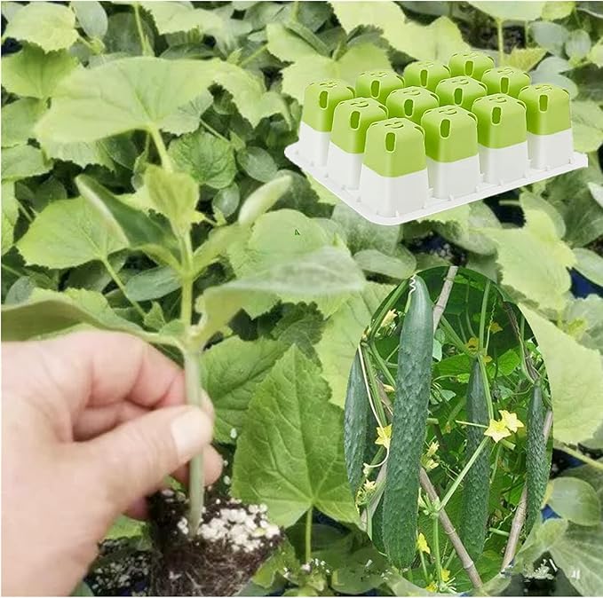 5pcs Seed Starter Tray, Silicone Seeding Starter with Pop-Out Cells (60 Cells in Total), Plant Growing Trays for Seed Starter, Indoor Seeding Planting Growing(5PCS,Green)