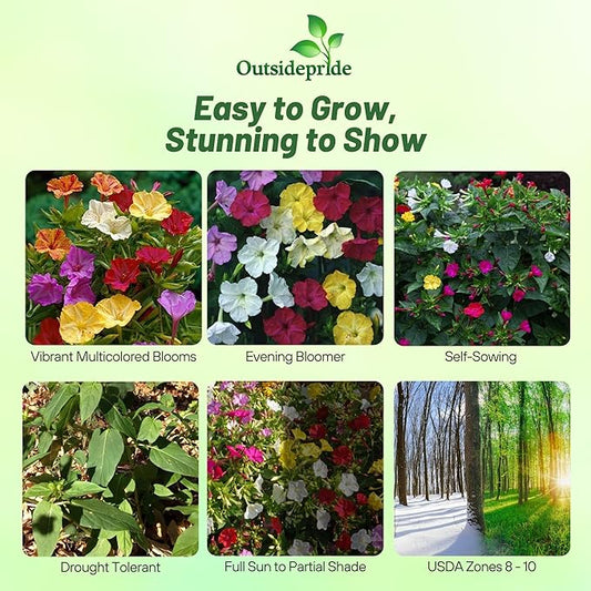 Outsidepride Mixed Four O'clock Flower Seeds - 5 lb Perennial Fragrant, Trumpet-Shaped Blooms, Deer-Proof & Easy to Grow, for Pollinator & Evening Gardens, Containers, Hedges, or Borders