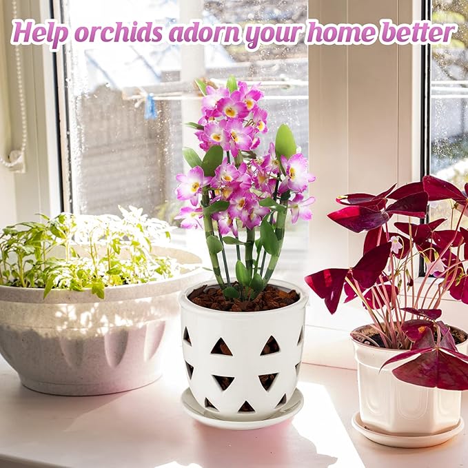 Aulock 6in Ceramic Orchid Pot with Drainage Holes, Decorative Planter, Excellent Airflow for Healthy Roots, for Repotting Indoor, Triangle Style