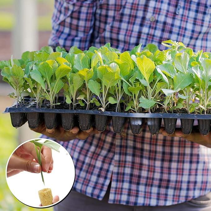 YBB 50 Pcs Round Rockwool Starter Plugs, 0.7 x 1 Inch Rockwool Grow Plugs Hydroponics Grow Media Seed Starter Kit Indoor with 60 Pcs Labels