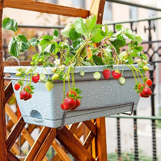 1500pcs Mixed Berry Seeds Kit for Planting (Strawberriy, Blueberry, Raspberry, Mulberry, Cranberry, Cherry Seeds Pack), Non-GMO Perennial Fruits Seeds, Home Garden Plants for Outdoors