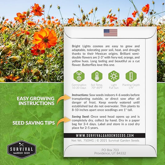 Survival Garden Seeds Bright Lights Cosmos Seed for Planting - 2 Packets with Instructions to Grow Cosmos Sulphureus in Your Home Flower or Vegetable Garden - Non-GMO Heirloom