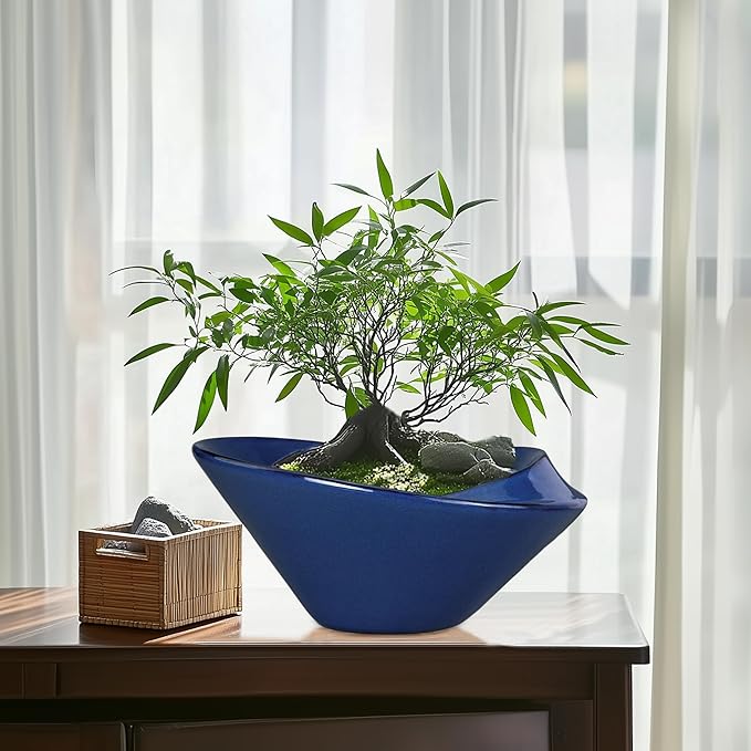 Bonsai Tree Pot 13 Inch - Ceramic Succulent Pots Large Bonsai Planter for Indoor Outdoor Plants Decorative Plant Pot with Drainage Hole Flower Pot for House Garden Room Home Decor Blue