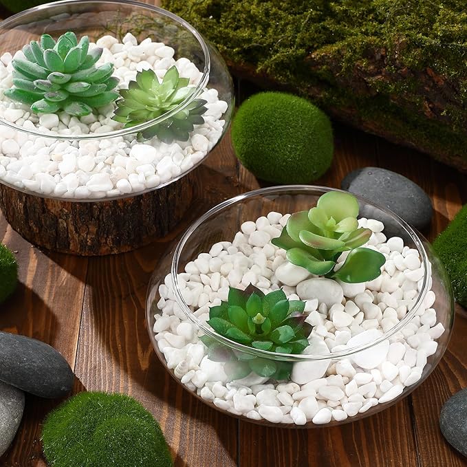 Baderke 3 Pcs Hydroponic Planter Lotus Flower Pot Planter Lotus Bowl Clear Glass Fish Bowl Vase for Planting Indoor Home Decor Water Lily Narcissus Planting Water Lily (7.09in)