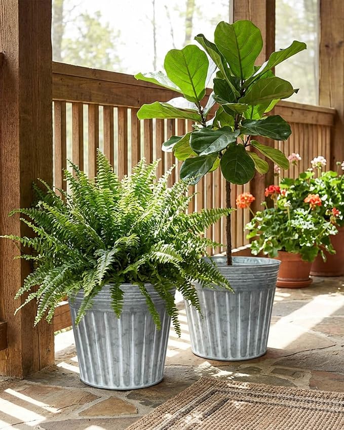 vensovo 11 Inches Silver Metal Rustic Plant Pots - 3 Pcs Large Galvanized Planters with Drain Hole and Rubber Plug, Rustproof Tin Bucket Flowerpot for Indoor Plants Farmhouse Vintage Style for Decor