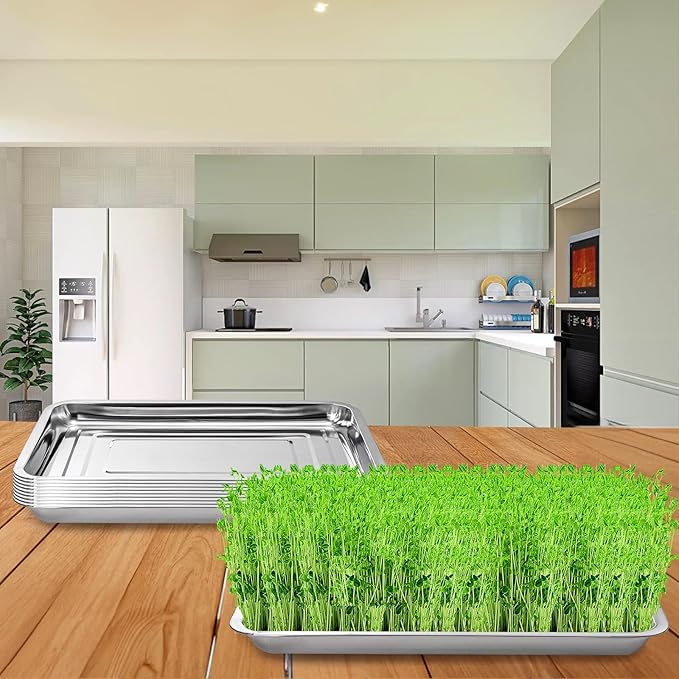 Youeon 10 Pack Seed Starter Tray 15.3x11.4x1.3 Inch, Stainless Steel Seed Sprouting Trays Germination Trays for Beans, Wheat Grass, Herbs, Broccoli & More, Plant Trays for Indoor Outdoor