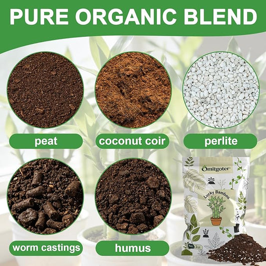 Pure Natural Potting Soil for Lucky Bamboo Plants 1qt - Superior Drainage & Breathability, Ideal Indoor Plant Soil