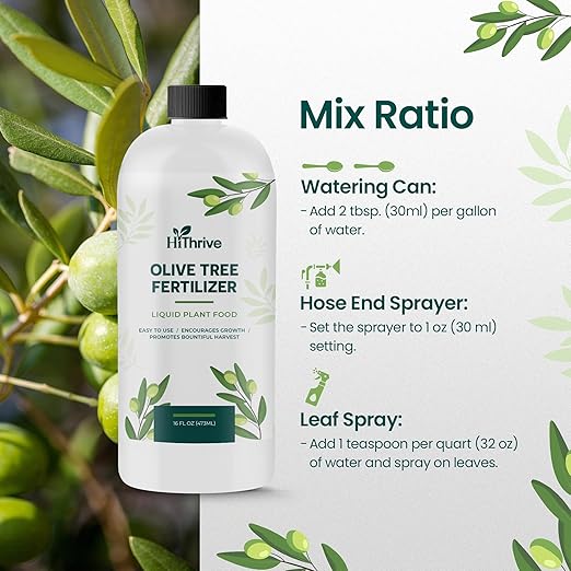 16oz Olive Tree Fertilizer – Makes 16 Gallons of Olive Plant Food – 2-in-1 Liquid Plant Food with Macronutrients + Micronutrients for Lush Foliage, Strong Roots, Bountiful Harvests & Plump Fruits