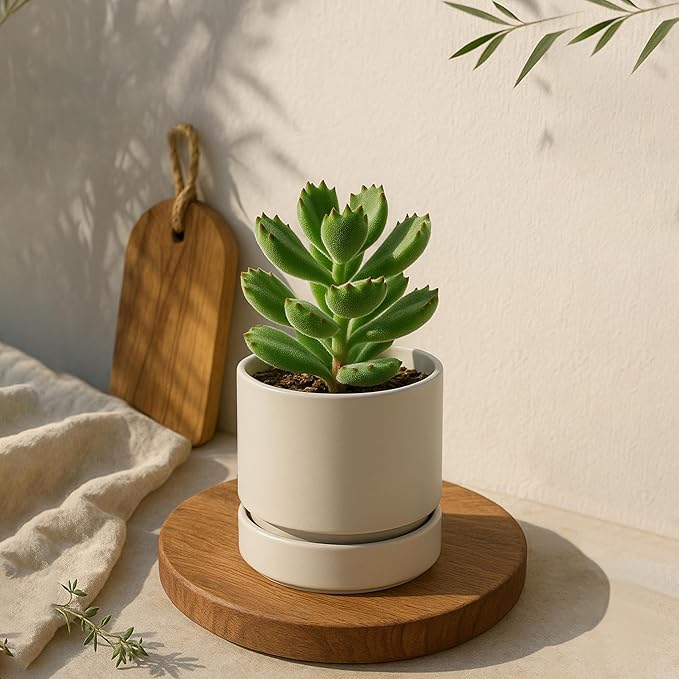 Phoenix Vine 4 Inch Planter Pot with Drainage Hole & Saucer, Deep Water Catch Tray, Straight Cylindrical Round Pot for Plants, Oatmeal, Pack of 4, 23-E-R-4