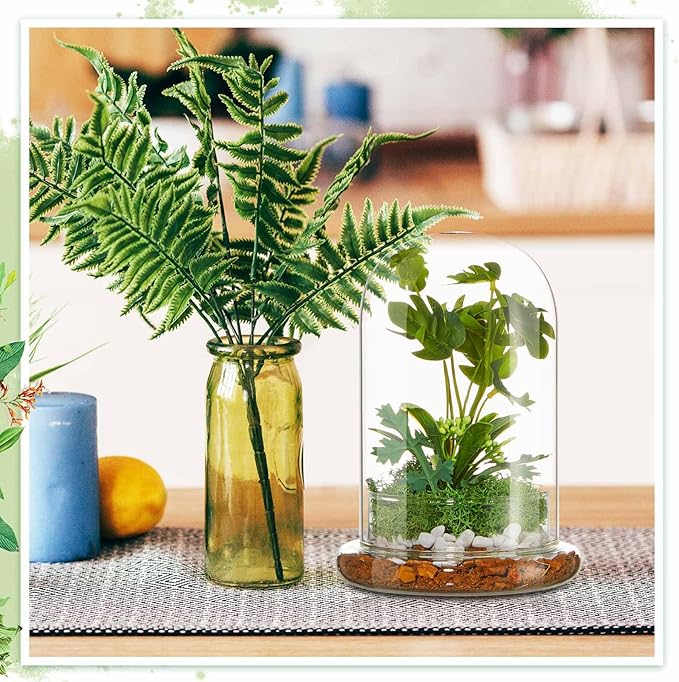 1 Pcs 5.9 x 7.9 Inch Glass Terrarium Clear Terrarium Planter Container Glass Dome Cloche with Airhole and Base for Plant Flower Home Tabletop Display Centerpiece, Plants Not Included