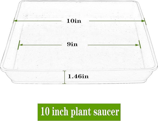 Square Plant Saucer 10 Inch 5 Pack, Plastic Plant Water Dray Tray Plants, Pot Saucers for Plants Square Planters for Indoors and Outdoors Plants, Garden Saucer for Plant Pots.
