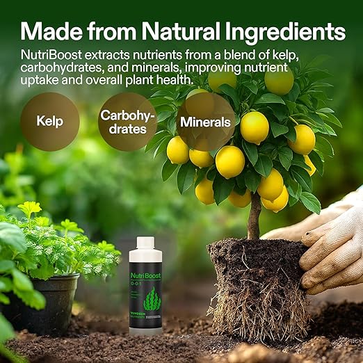VIVOSUN Seaweed and Kelp Fertilizer, Concentrated Plant Additive NutriBoost (0-0-1), All-Purpose Liquid Food for All Growing Stages, for Trees, Vegetables, Flowers, Fruits, Lawn, Plants, 8 Ounces
