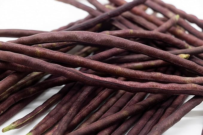 Purple Yard Long Bean Seeds 85+ Seeds, Asian Heirloom Yard Long Beans Seeds, Asparagus Beans Seeds, Phaseolus Vulgaris, Non GMO