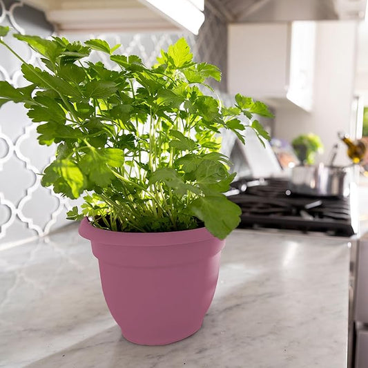 Bloem Ariana 8" Dusty Rose Round Self-Watering Resin Planter Pot - Rolled Rim Indoor and Outdoor Gardening Planter