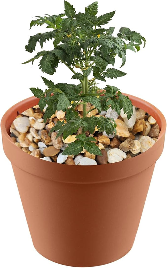 Versatile River Rocks & Garden Stones for Outdoor Landscaping - Ideal Decorative Rocks for Plants Indoor & Outdoor, Pea Pebbles, Landscaping Stones. 2 Quart