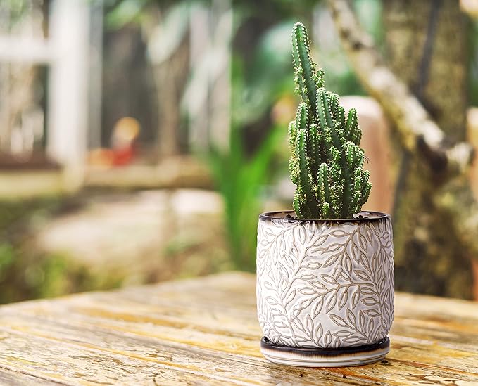 D'vine Dev Embossed Leaves Design 4 Inch & 6 Inch Stoneware Planter Pot with Drainage Hole and Saucer, Smoked White, 27-B-U-1