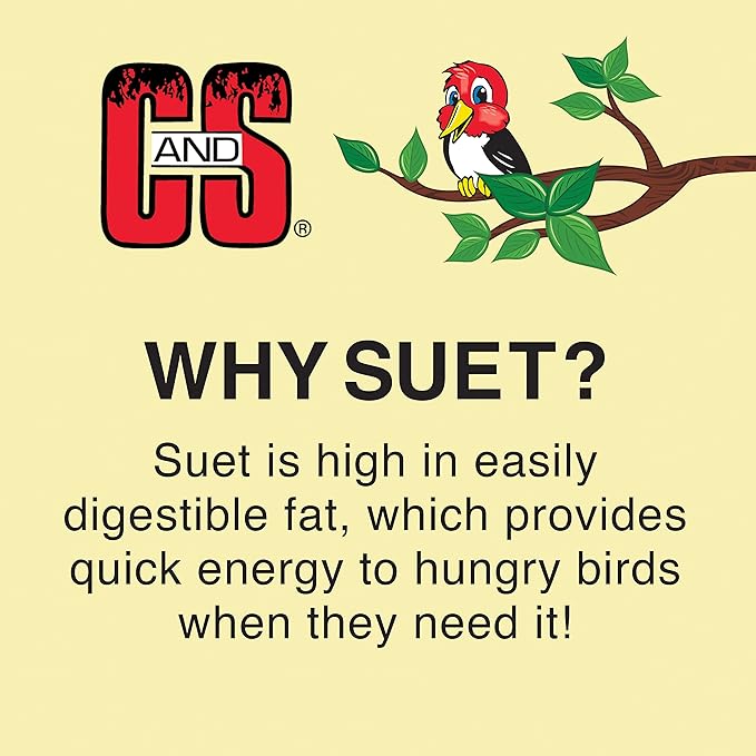 C&S Wild Bird Peanut Suet Nuggets Mega Box, 8 Pounds (Pack of 2)