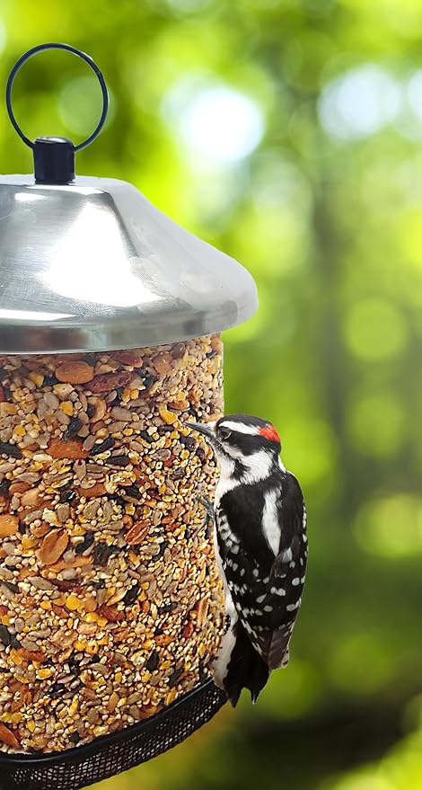 Songbird Treats Seed Tower 2 Packs | Bundle of 2 | 1.5-2 lb Seed Log Towers for Wild Birds (Feeder and Tower Combo)