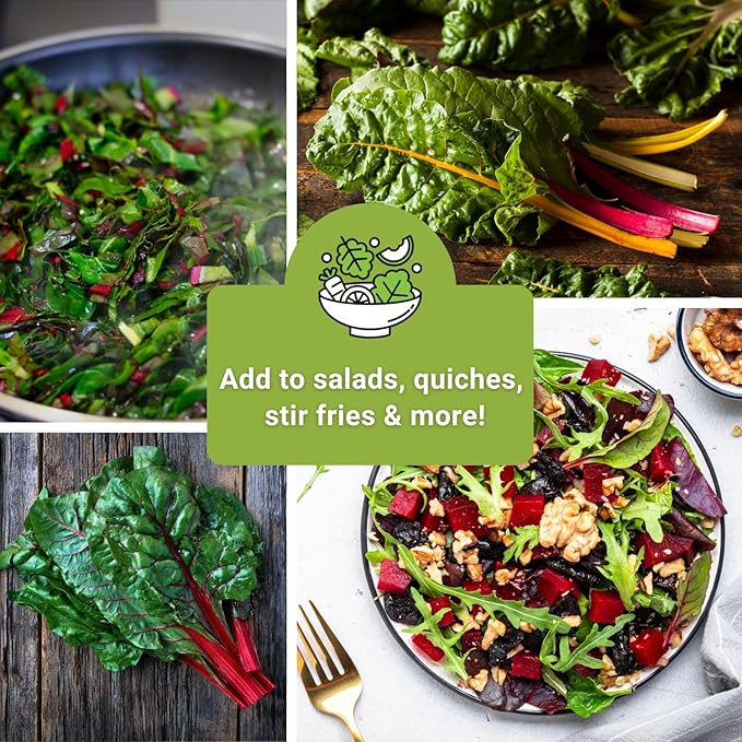 Sow Right Seeds - Swiss Chard Seed Collection for Planting - Includes Rainbow, Fordhook, Ruby Red - Non-GMO Heirloom Varieties - Perfect for a Vegetable Garden - Grow Your Own Leafy Greens