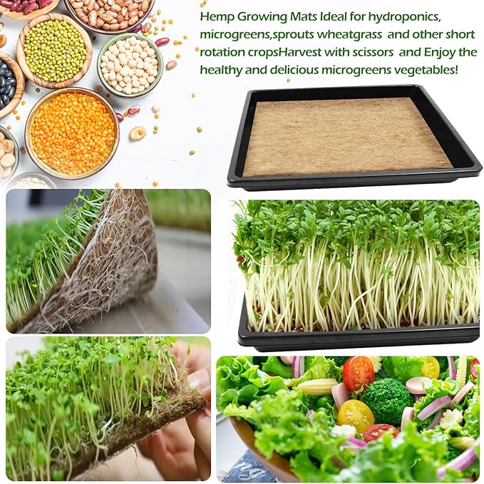 6Set Microgreens Growing Mat with Tray, Microgreen Growing Kit 10″×10″ Wheatgrass Seed Sprouting Starter Mat Hemp Fiber Grow Tray Hydroponic Jute Pads Indoor Organic Production for Germination Sprouts