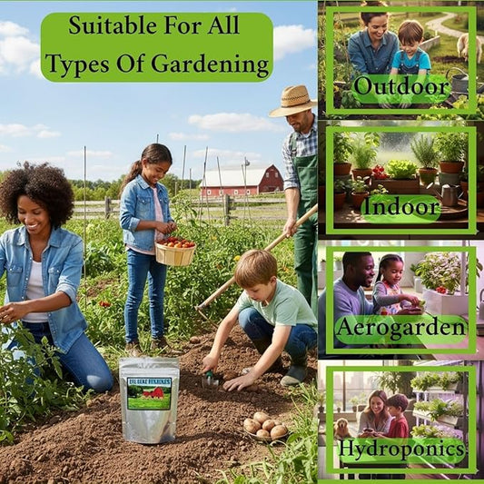 40 Vegetable & Fruit Seeds for Planting Your Outdoor & Indoor Home Garden. 25,000 Seeds, 40 Plant Markers, Growing Guide, & Survival Package. Heirloom Non-GMO Veggies by B&KM Farms (1, Large)