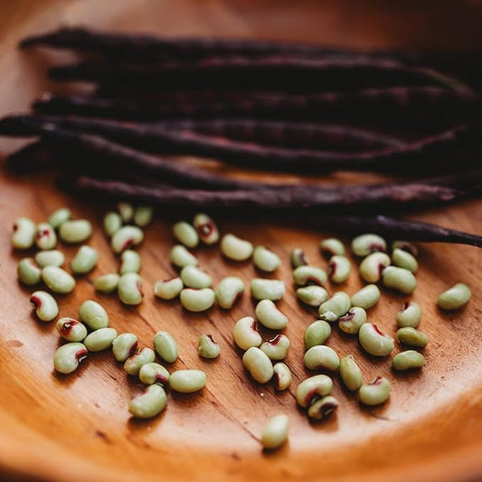 Pink-Eyed Purple Hull Cowpea - 4oz Bulk (~550 Seeds) - Heirloom Southern Field Pea Variety, USA-Grown, Non-GMO Purple Hull Pea Seeds for Planting Outdoors in The Home Garden, Thresh Seed Company