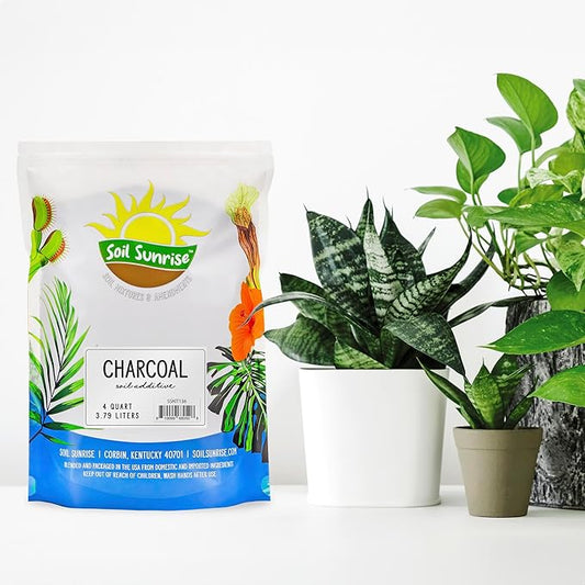 Soil Sunrise Horticultural Charcoal for Indoor Plants (4 Quarts) Hardwood Soil Additive for Orchids, Terrariums, and Gardening