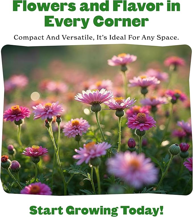 Epic Gardening Mini Garden Seed Kit - 4 Varieties for Small-Space Gardening, Includes Tomatoes, Peppers, Basil & Flowers, Perfect for Urban Gardening in Containers or Indoors, Non-GMO Seeds