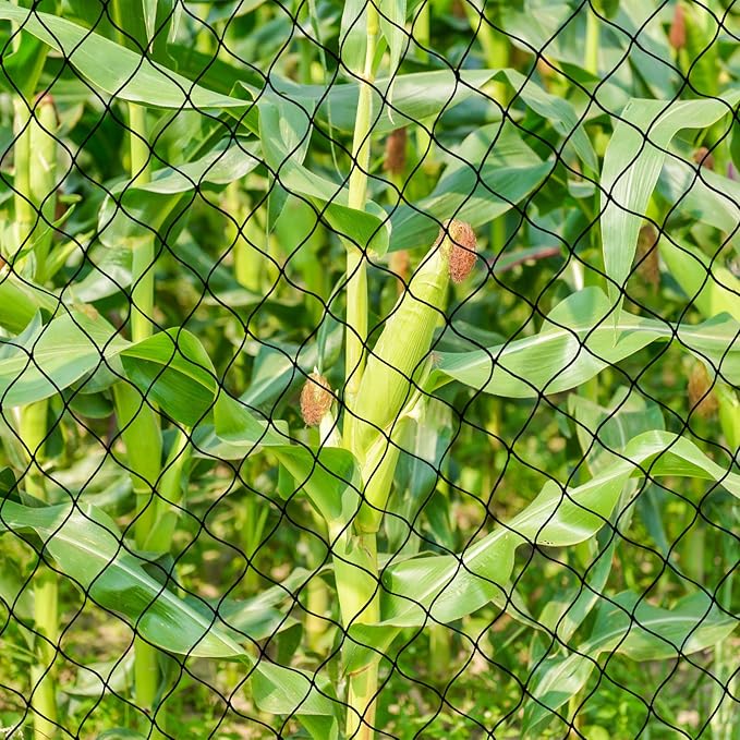 Bird Net 25'x25' with 2.4" Square Mesh Bird Netting for Chicken Coop Roof, Poultry Netting Heavy Duty Nylon for Garden, Chicken Netting Fruit Tree Netting, Hawk Netting for Chicken Run