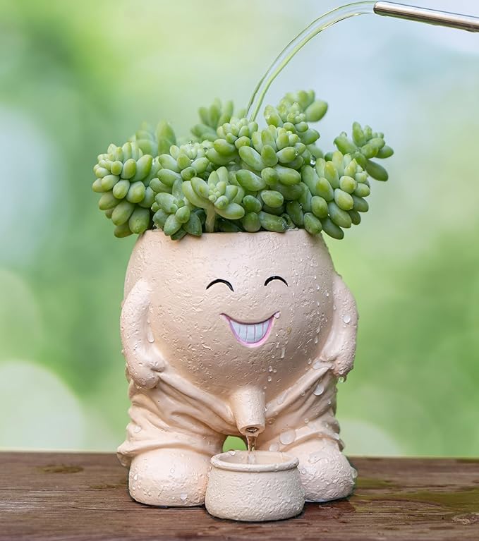 Quirky Creative Planter with Smiley Face,Naughty Boy Plant Face Pot with Drainage Hole,for Indoor Outdoor, Christmas, (Naughty Boy,Khaki)