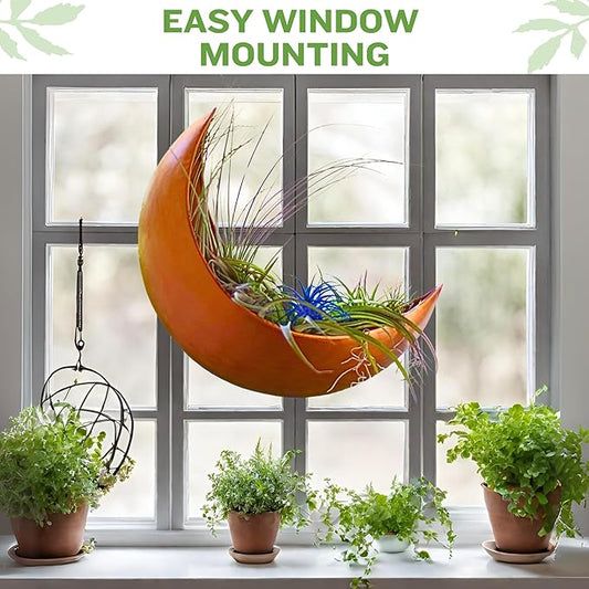 Wall Planter - Window Planter - Hanging Moon Planter - Boho Hanging Planters for Indoor Plants, Succulents, Air Plant, Cactus, Faux, Artificial Plants -Witchy Gifts for Women, Birthdays,Plant Lovers