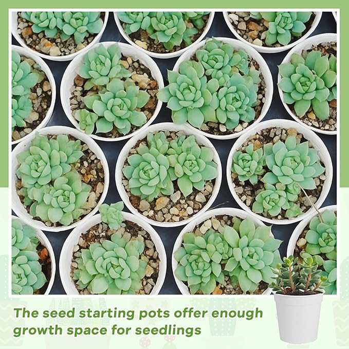 Yaomiao 200 Pcs 2 Inch White Mini Plastic Plant Pot Nursery Seedling Pots Seed Starter with Drainage Holes for Indoor Outdoor Garden Succulent Plants Cuttings Transplanting