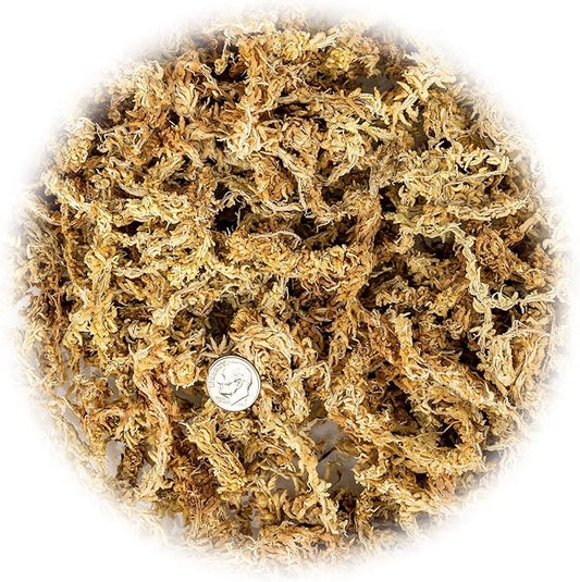 Gardenera Premium New Zealand Sphagnum Moss - Organic Hand Mixed Long Fibered Sphagnum Moss Orchid - 4 Quart