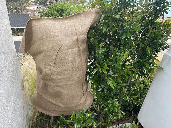 Sandbaggy Extra Large 36" x 48" Burlap Bags - Adult Potato Sack Racing, Grow, Plant Covers - Reusable Grocery Bags - Food Grade (2)