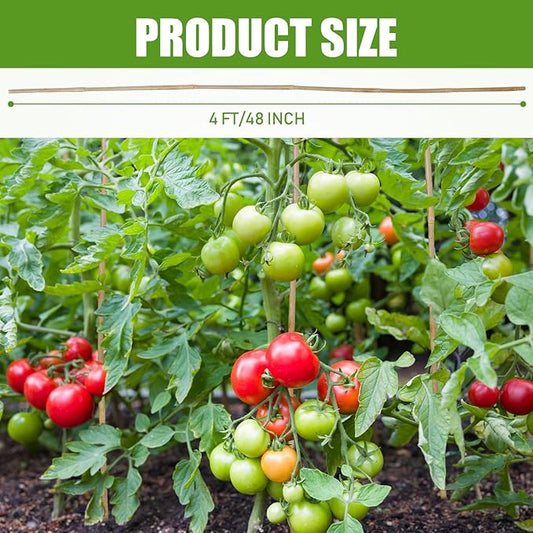 Suzile 100 Pcs Bamboo Stakes Bulk, Natural Plant Stakes Bamboo Garden Supports Climbing for Tomatoes, Beans, Vegetable and Potted Plants (48 Inch)