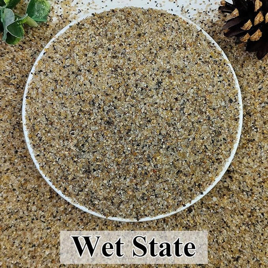 10lbs Aquarium Gravel, 1/16"(0.6-1.2mm) Natural River Rocks Succulent Cactus Pea Gravel for Plants, Fish Tank, Decorative Pebbles for Gardening, Flower Pots, Vase Fillers, Landscaping