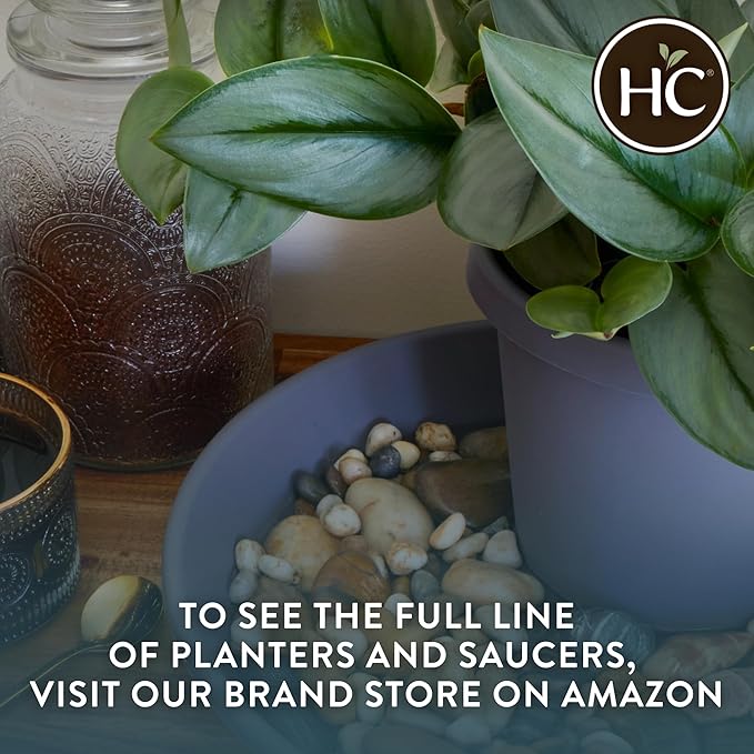 The HC Companies Classic Round Plastic Plant Pot w/Rolled Rim - Lightweight & UV Resistant Flower Pot for Herbs & More - Outdoor & Indoor Plant Pots w/Drainage (20 inch Clay, Pack of 1)