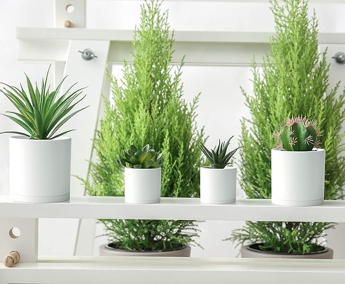 D'vine Dev 10 Pack Plastic Plant Pots for Plants, 6.5/6/5.5/5/4.5/4/3.5/3/2.5/2 Inch Indoor Planters Cylindrical Succulent Pot with Drainage Hole and Saucer, White, 74-S-A