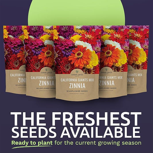 Bulk Zinnia Seeds - California Giants Mix - 5 Pounds - Over 240,000 Flower Seeds - Mixed Colors and Large Blooms