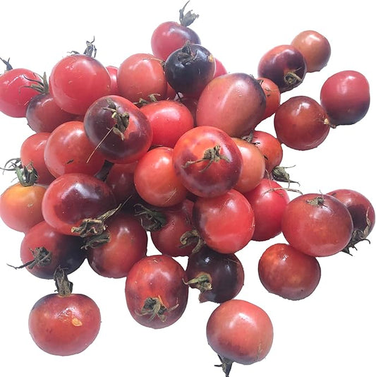 Organic Blueberry Cherry Tomato Seeds (Solanum lycopersicum) 150 Seeds (0.5 Grams) - Cotton Candy Heirloom Tomato Seeds by Smoke Camp Crafts