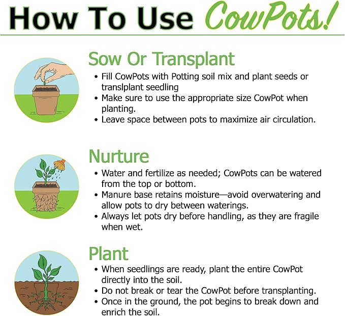 Park Seed CowPots 4-inch Tall Square Nitrogen-Rich Plant Seedling Starter, Set of 12
