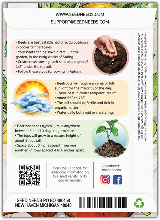 Seed Needs, Golden Detroit Beet Seeds - 250 Heirloom Seeds for Planting Beta vulgaris - Grow an Outdoor Garden Non-GMO & Untreated (1 Pack)