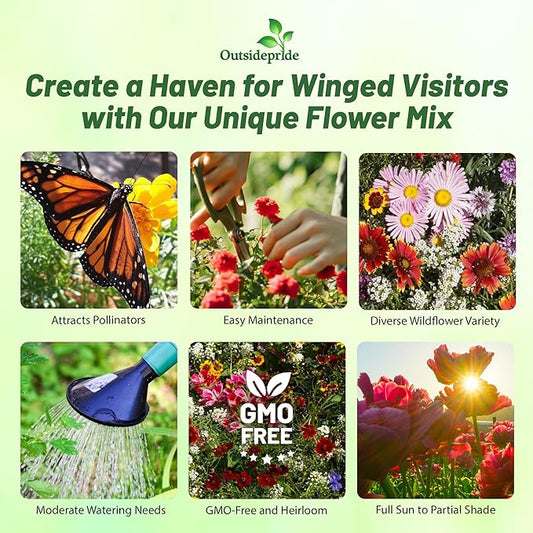 Outsidepride Birds & Butterfly Wild Flower Seed Mix - 1/4 Lb. Premium Blend of Annual & Perennial Wildflower Seeds for Attracting Songbirds, Hummingbirds, & Butterflies