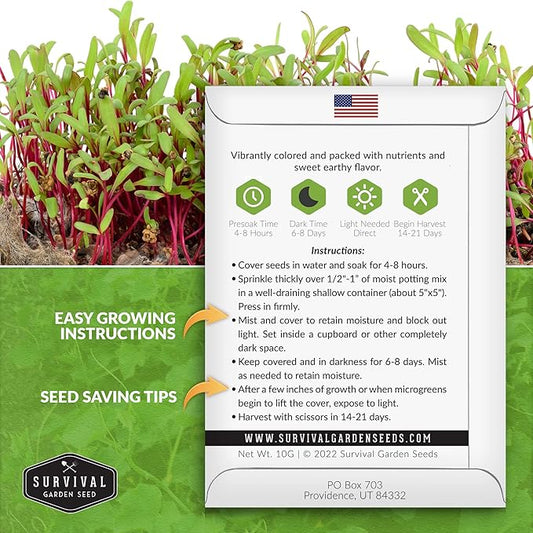 Beet Microgreen Seeds for Sprouting - Non-GMO Heirloom Beet Seeds to Grow Red Microgreens - Indoors or Hydroponic - Fast Growth, Sweet Flavor - Survival Garden Seeds (1 Pack)