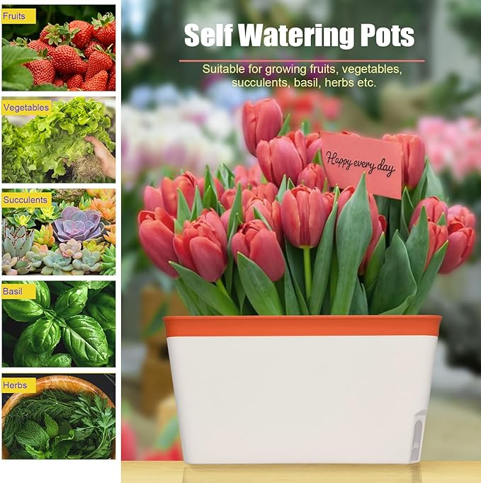 OurWarm Windowsill Herb Planter Box, Set of 3 Self Watering Plant Pots, 10.5 Inch Rectangular Planter Pot, Decorative Garden Flower Pots for Indoor Plants, Herbs, Vegetables, Flowers (3 Colors)