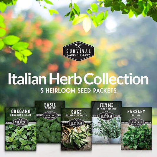Survival Garden Seeds - Italian Herb Collection Seed Vault - Basil, Oregano, Thyme, Sage, Flat Leaf Parsley - Non-GMO Heirloom Varieties of Culinary & Medicinal Herbs for Any Garden or Homestead
